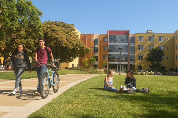 University of California, Davis